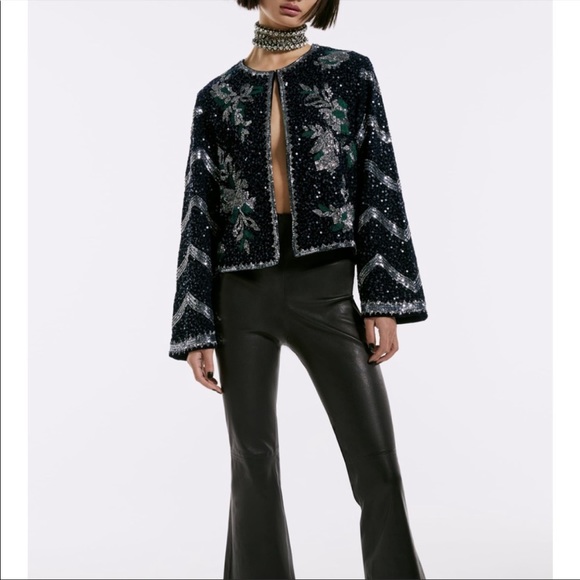 ZARA NWT LIMITED EDITION EMBROIDERED JACKET 🔥 - Picture 6 of 12